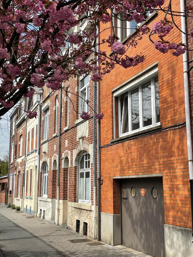 La Chambre Jaune Maison Avec Grande Terrasse Et Garage Prive Villa Rijsel Buitenkant foto